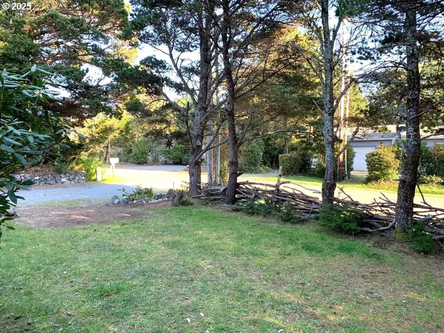 a view of a yard with tree s