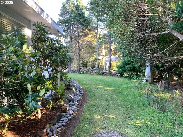 a view of a yard with plants and trees