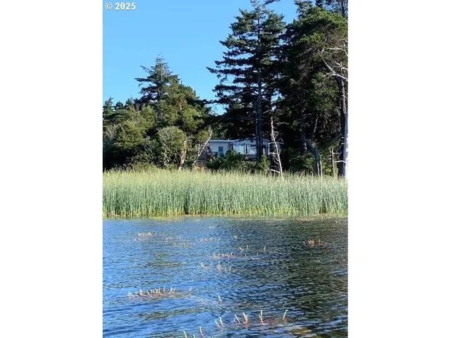 a view of a small yard