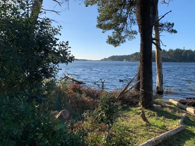 a view of a backyard with wooden fence