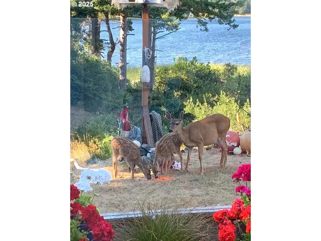 a view of swimming pool with sitting area