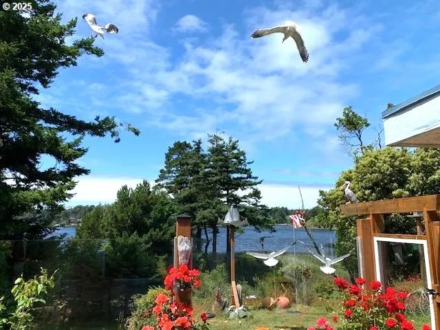 a picture of flowers