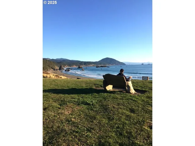 a view of a small yard