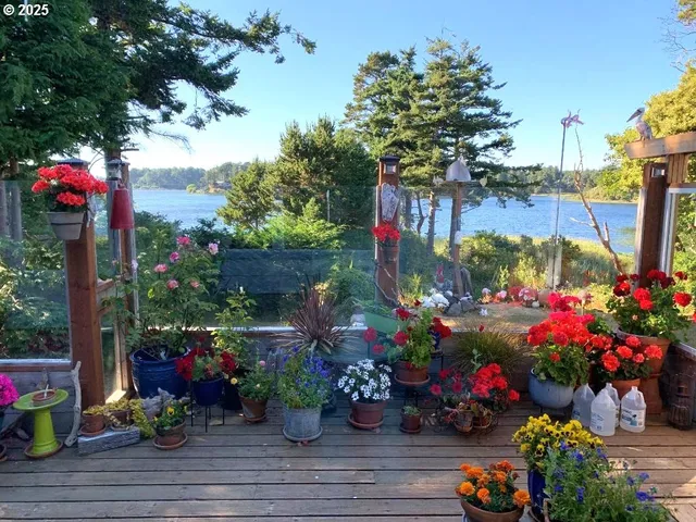 a view of a potted flower in a yard next to a building