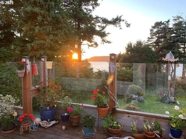 a view of yard along with potted plants