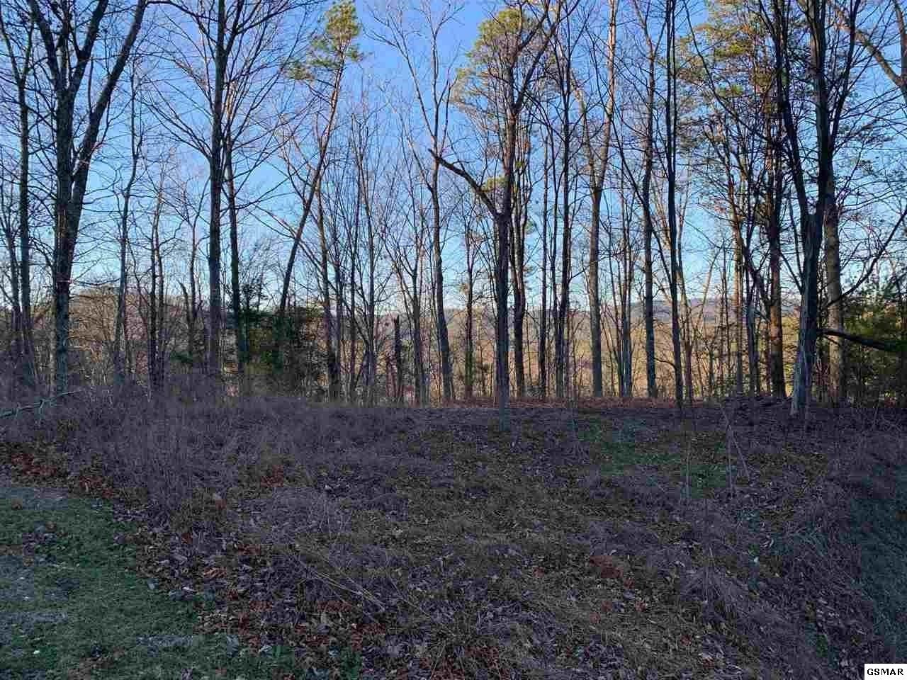 66 Whetstone Road Sevierville, TN 37863 - Photo 6 of 6
