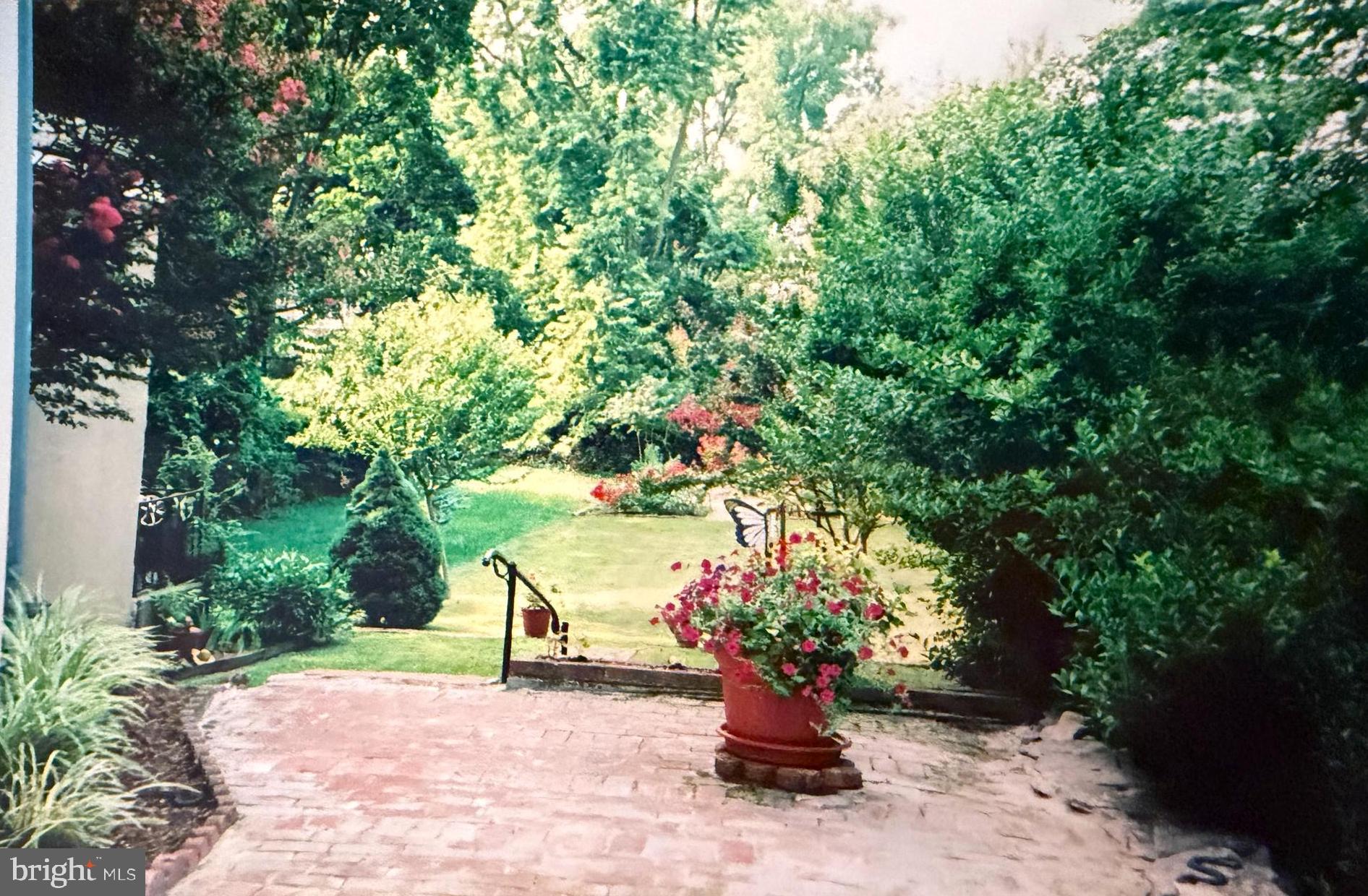 232 East 2nd Street Frederick, MD 21701 - Photo 39 of 40 a view of a garden with flowers and trees