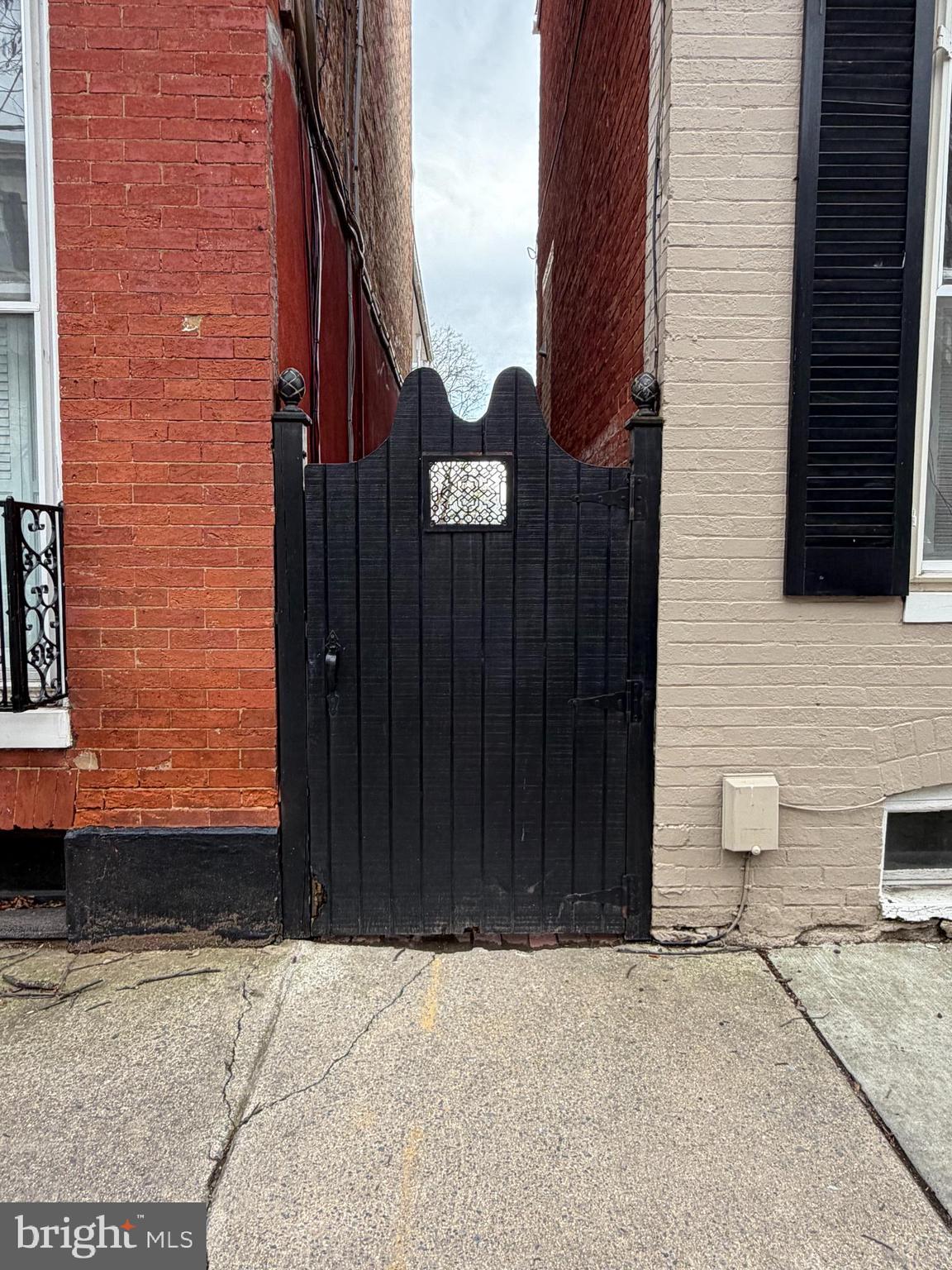 232 East 2nd Street Frederick, MD 21701 - Photo 5 of 40 a potted plant in front of a door
