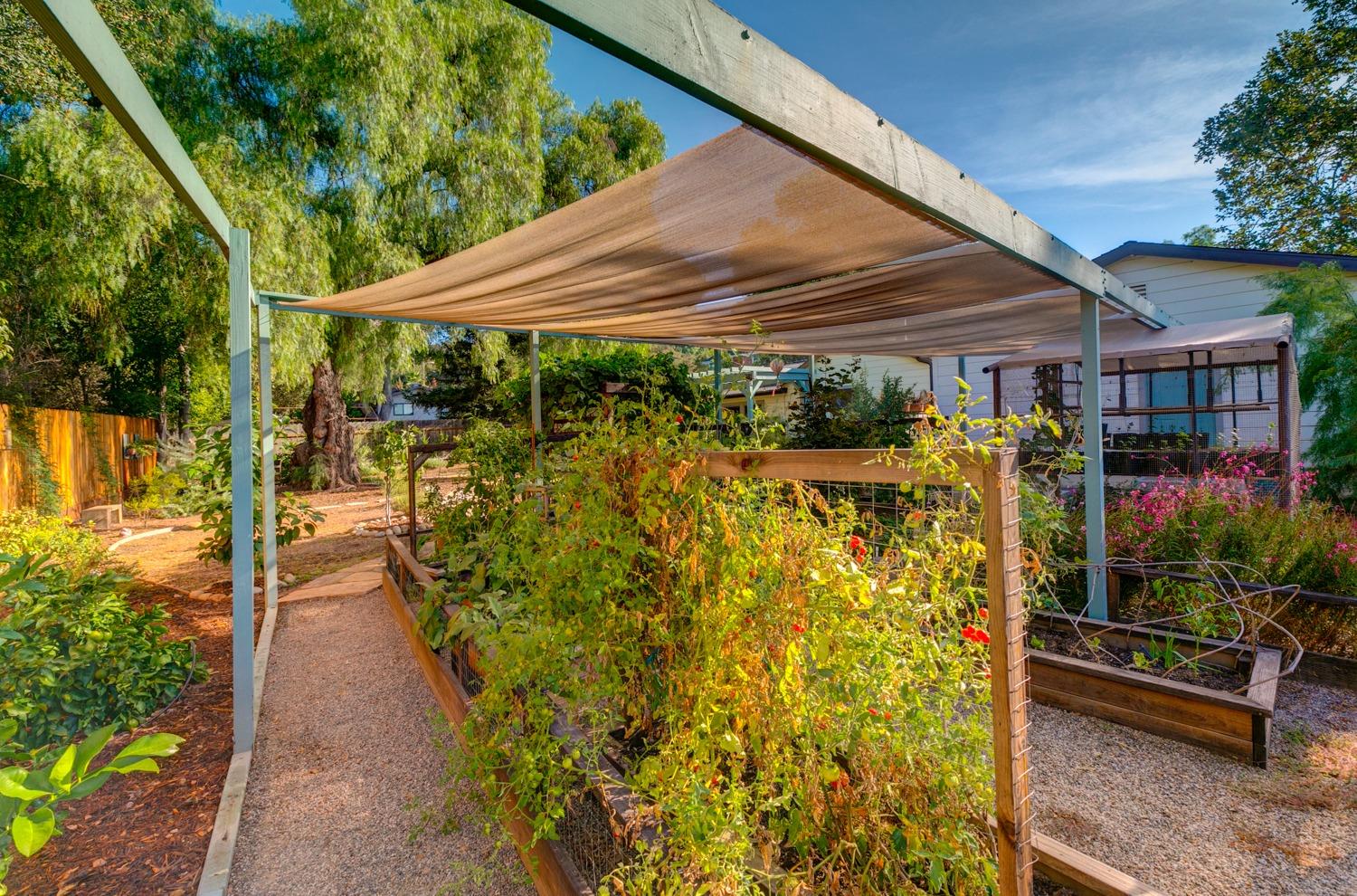 811 Tico Road Ojai, CA 93023 - Photo 36 of 50 Gallery Image 36