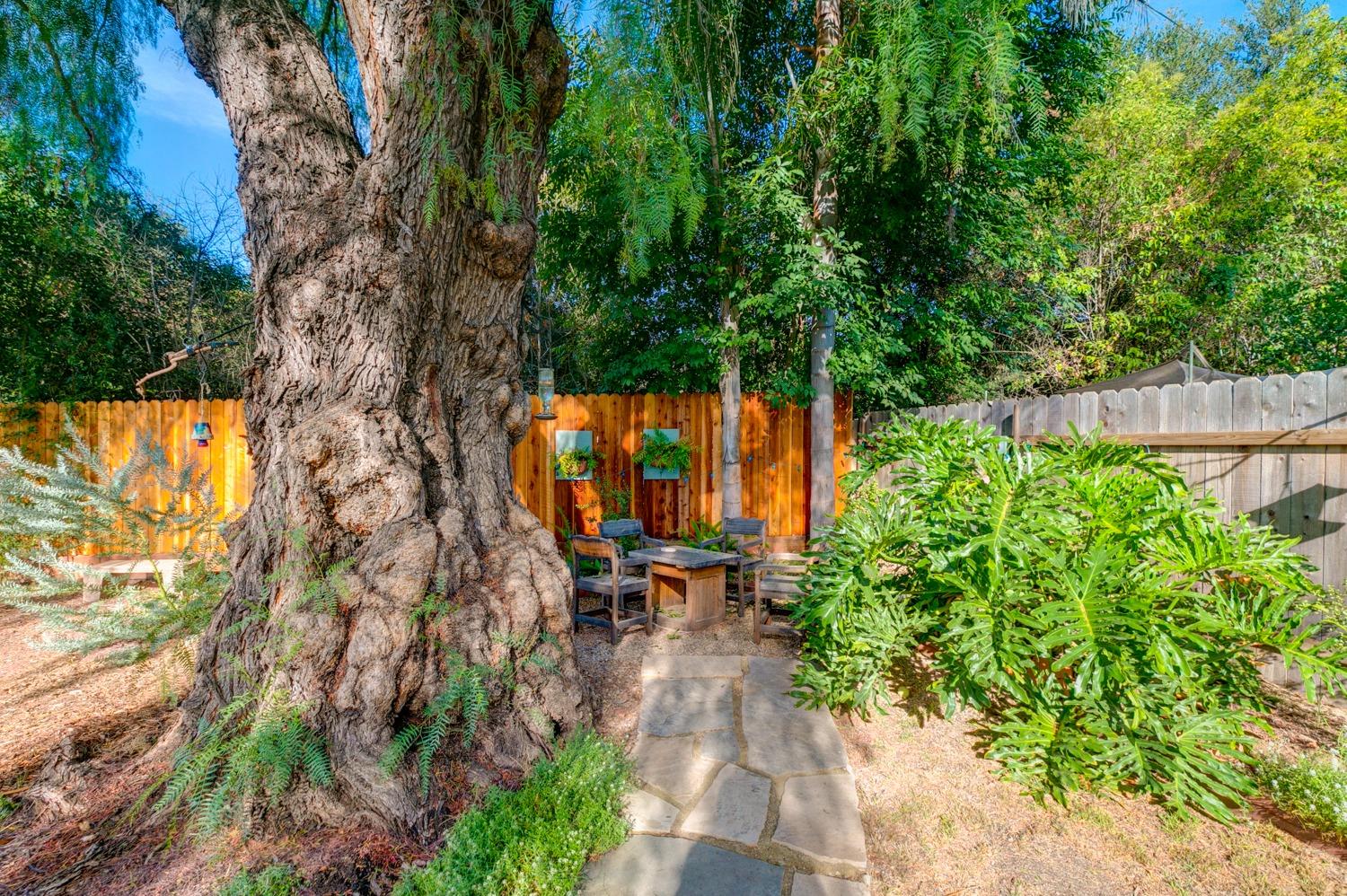 811 Tico Road Ojai, CA 93023 - Photo 40 of 50 Gallery Image 40