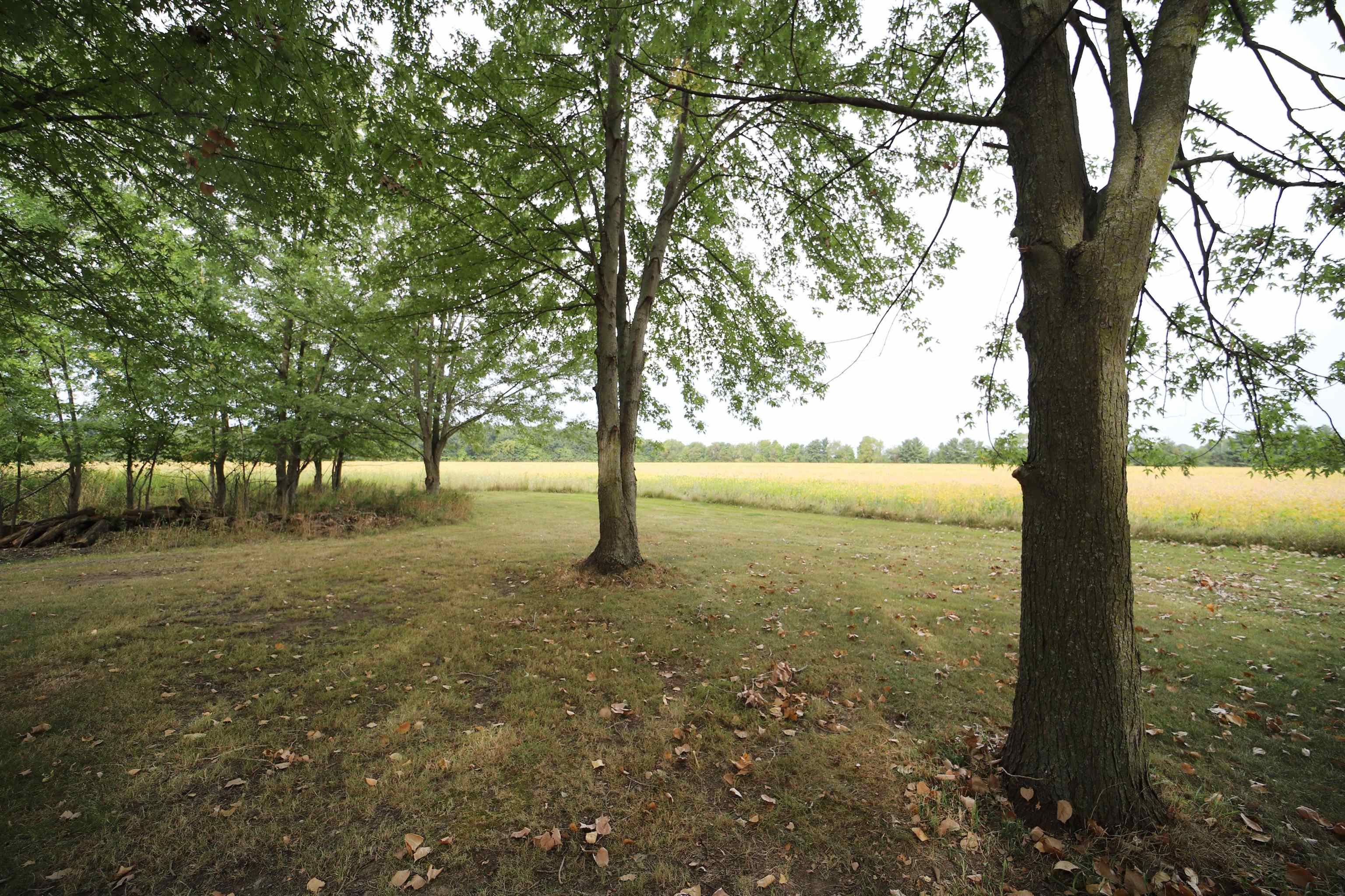 4173 Duffield Road Flushing, MI 48433 - Photo 28 of 34