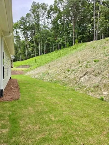 a view of a field with a tree