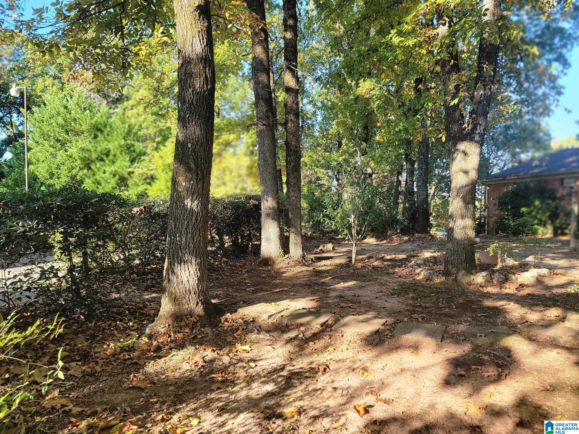 1238 Navajo Trail Alabaster, AL 35007 - Photo 3 of 20