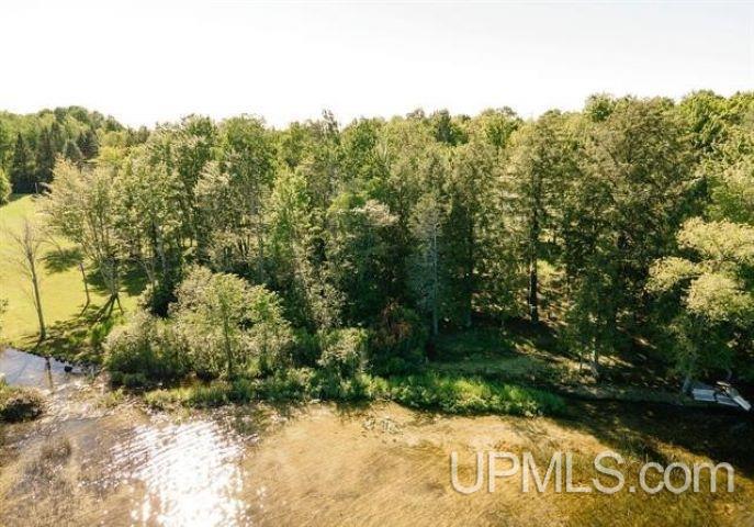 Tbd West Sunset Lake Road Iron River, MI 49935 - Photo 4 of 4