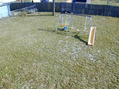 1105 Spring Run Road Lexington, KY 40514 - Photo 9 of 10 Large backyard, fenced for your children