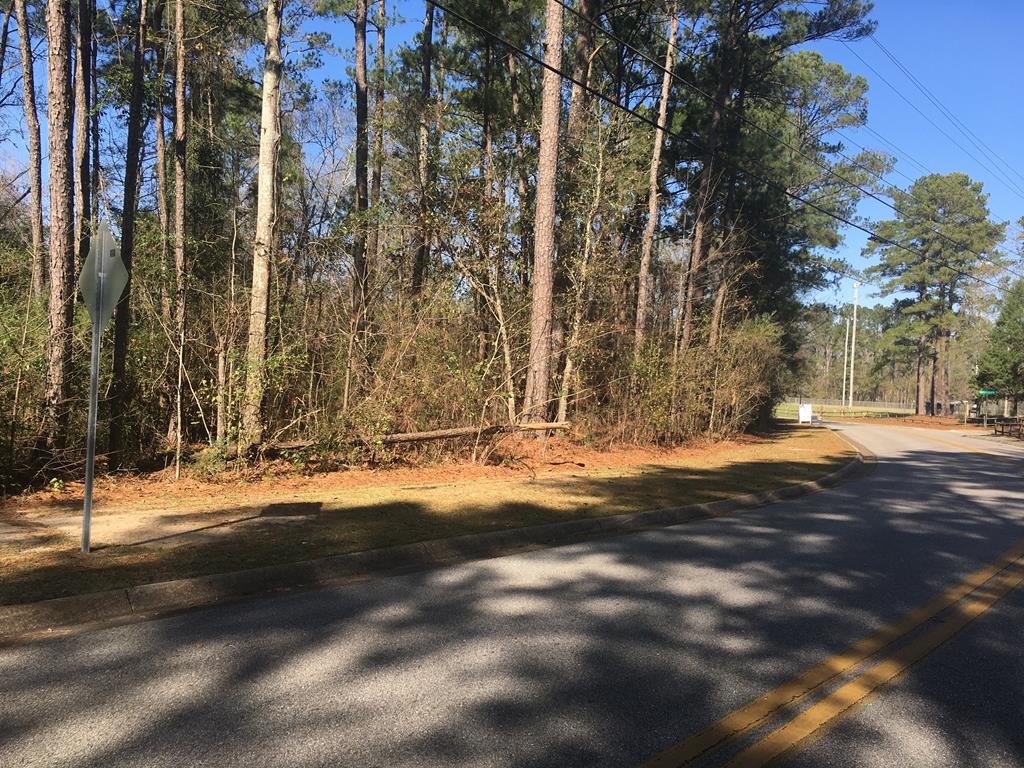 0 Rocky Branch Road Dothan, AL 36303 - Photo 1 of 7