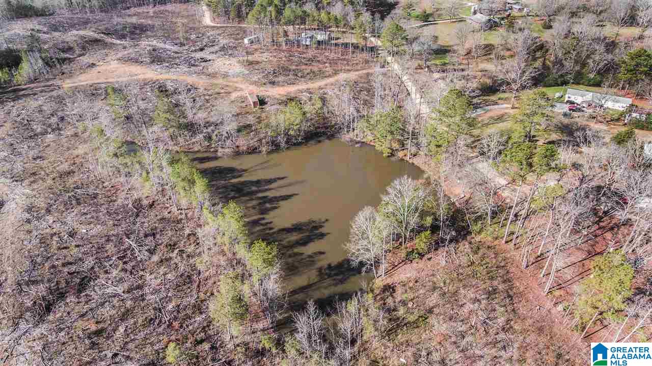 568 Yorkshire Road Columbiana, AL 35051 - Photo 6 of 7
