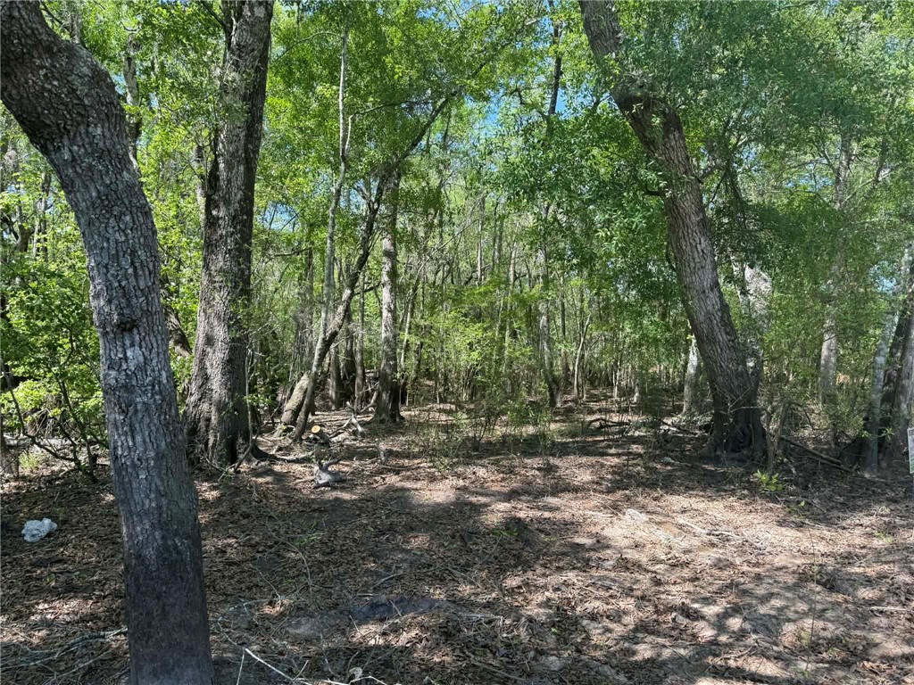 0 Lewis Landing Nahunta, GA 31553 - Photo 1 of 6