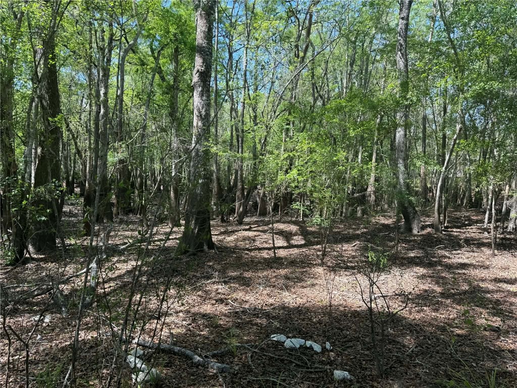 0 Lewis Landing Nahunta, GA 31553 - Photo 4 of 6