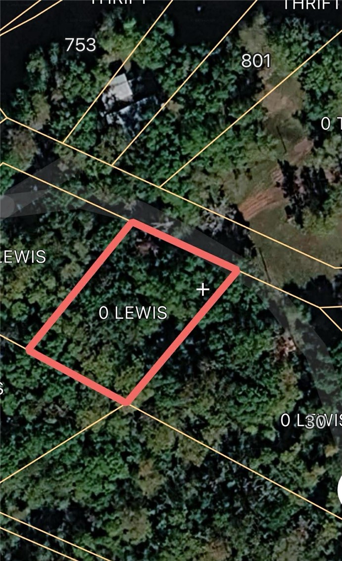 0 Lewis Landing Nahunta, GA 31553 - Photo 5 of 6