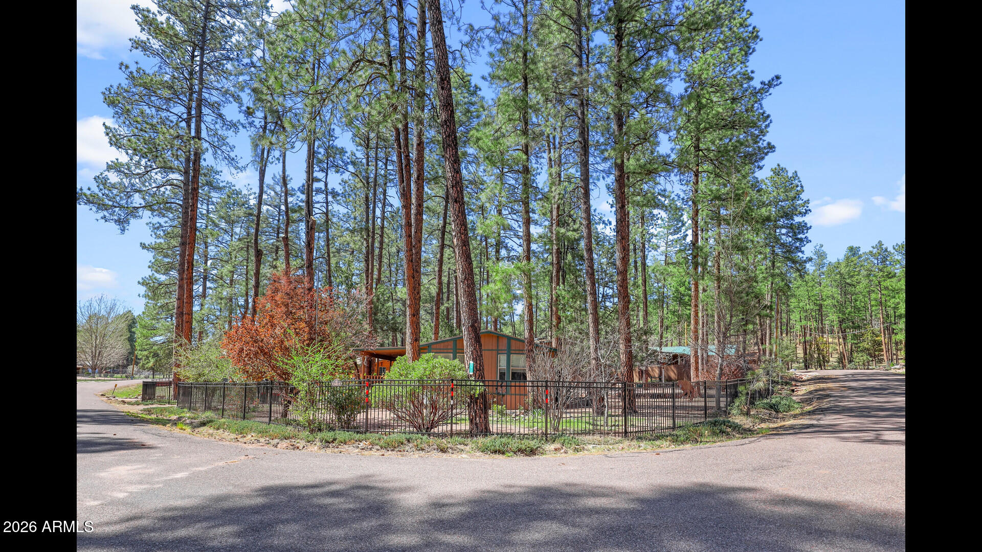 512 Standage Drive Payson, AZ 85541 - Photo 4 of 46 a view of a backyard with of trees