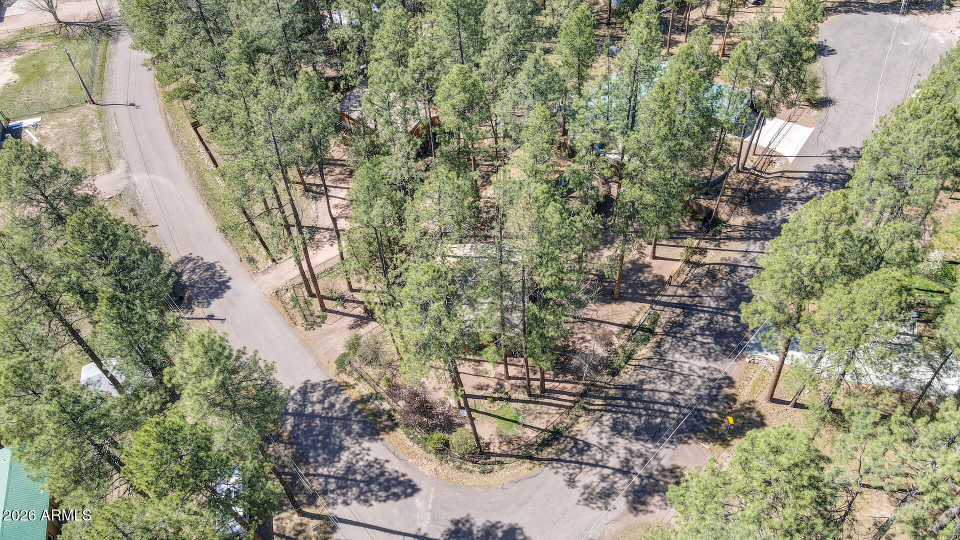 512 Standage Drive Payson, AZ 85541 - Photo 7 of 46 a picture of trees