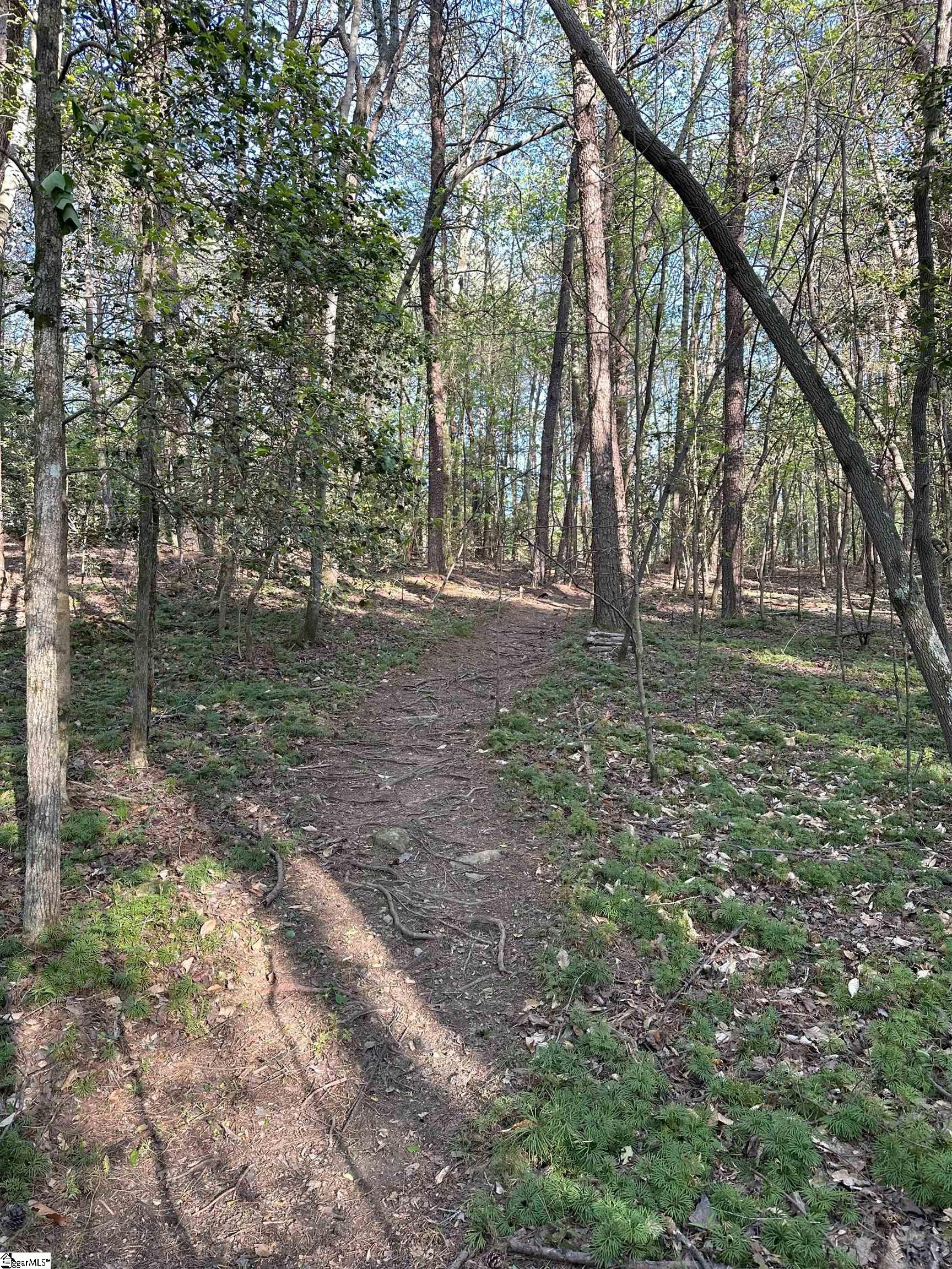 Npa Thompson Road Greer, SC 29651 - Photo 1 of 3 Gallery Image 1