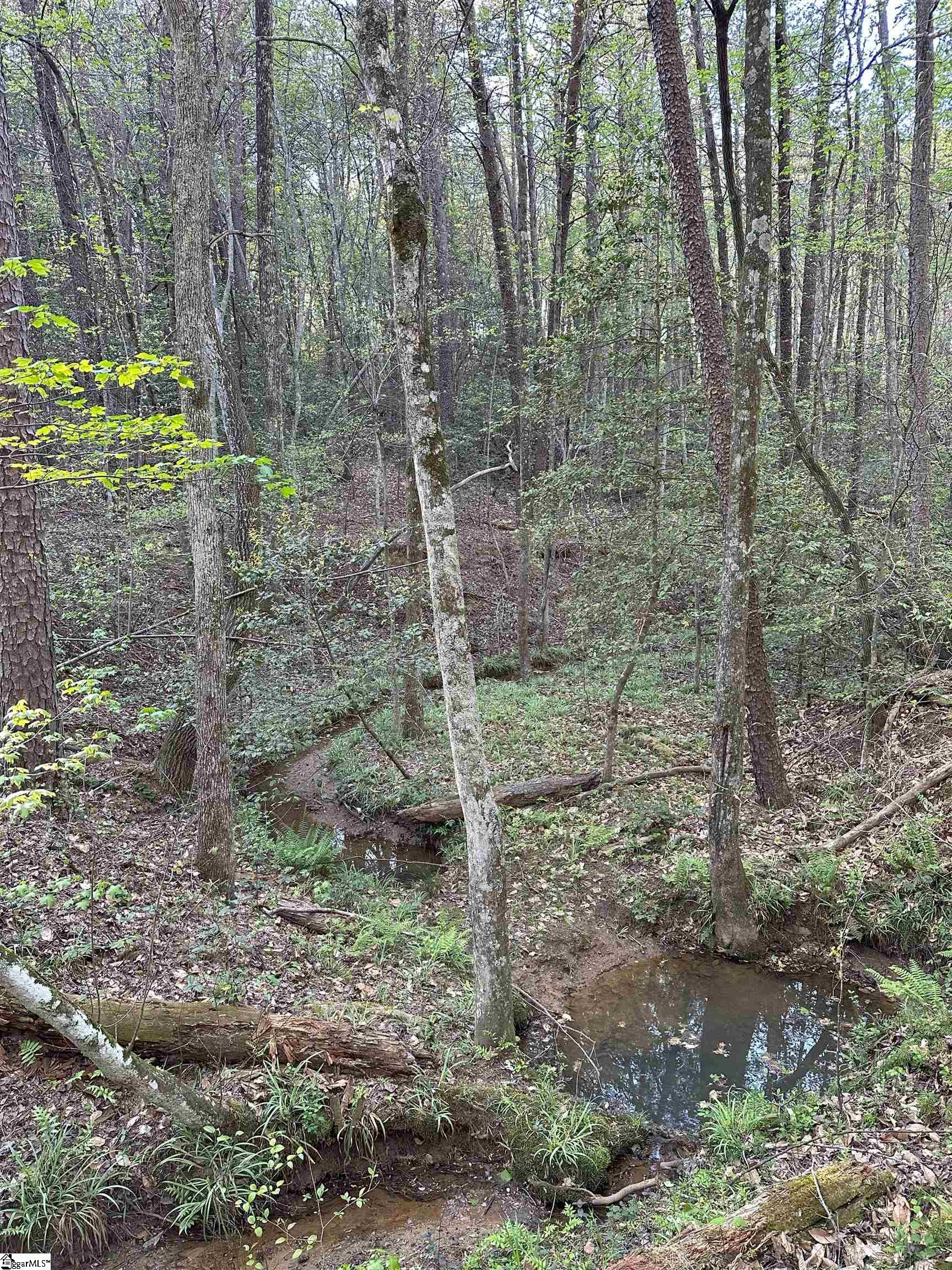 Npa Thompson Road Greer, SC 29651 - Photo 2 of 3 Gallery Image 2