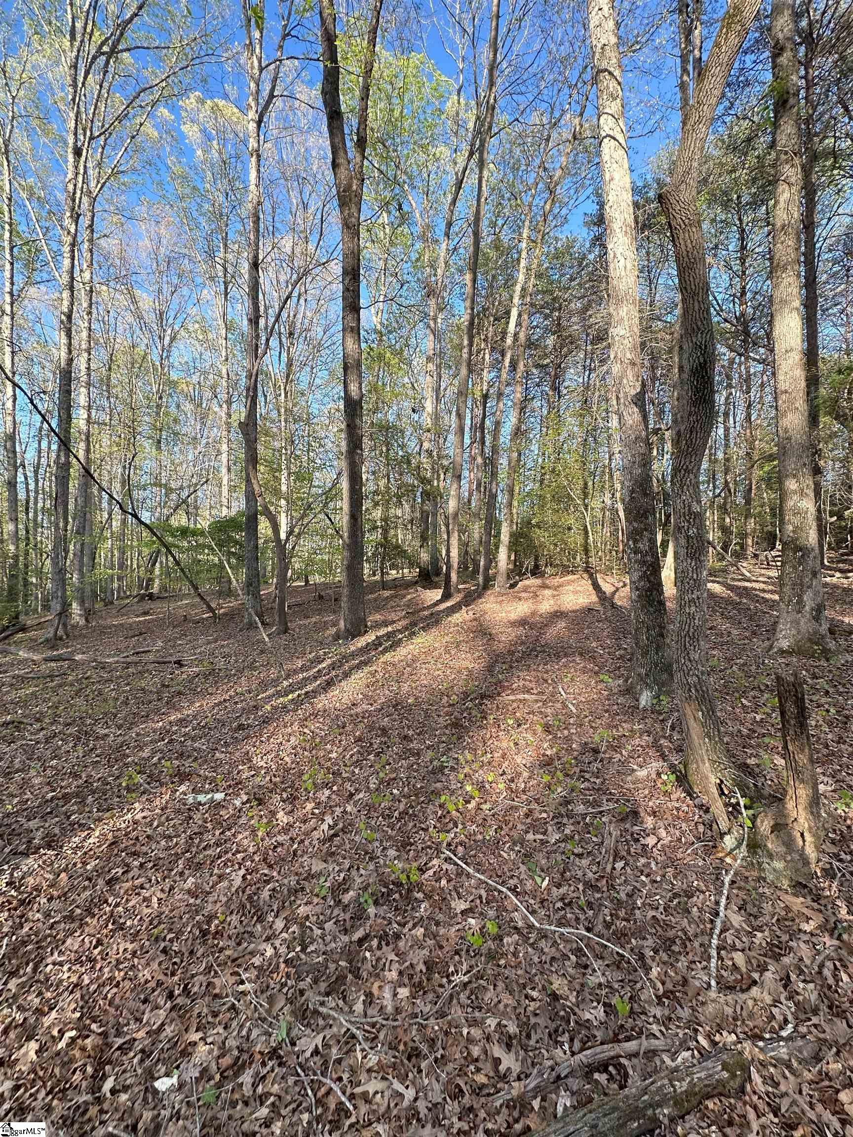 Npa Thompson Road Greer, SC 29651 - Photo 3 of 3 Gallery Image 3