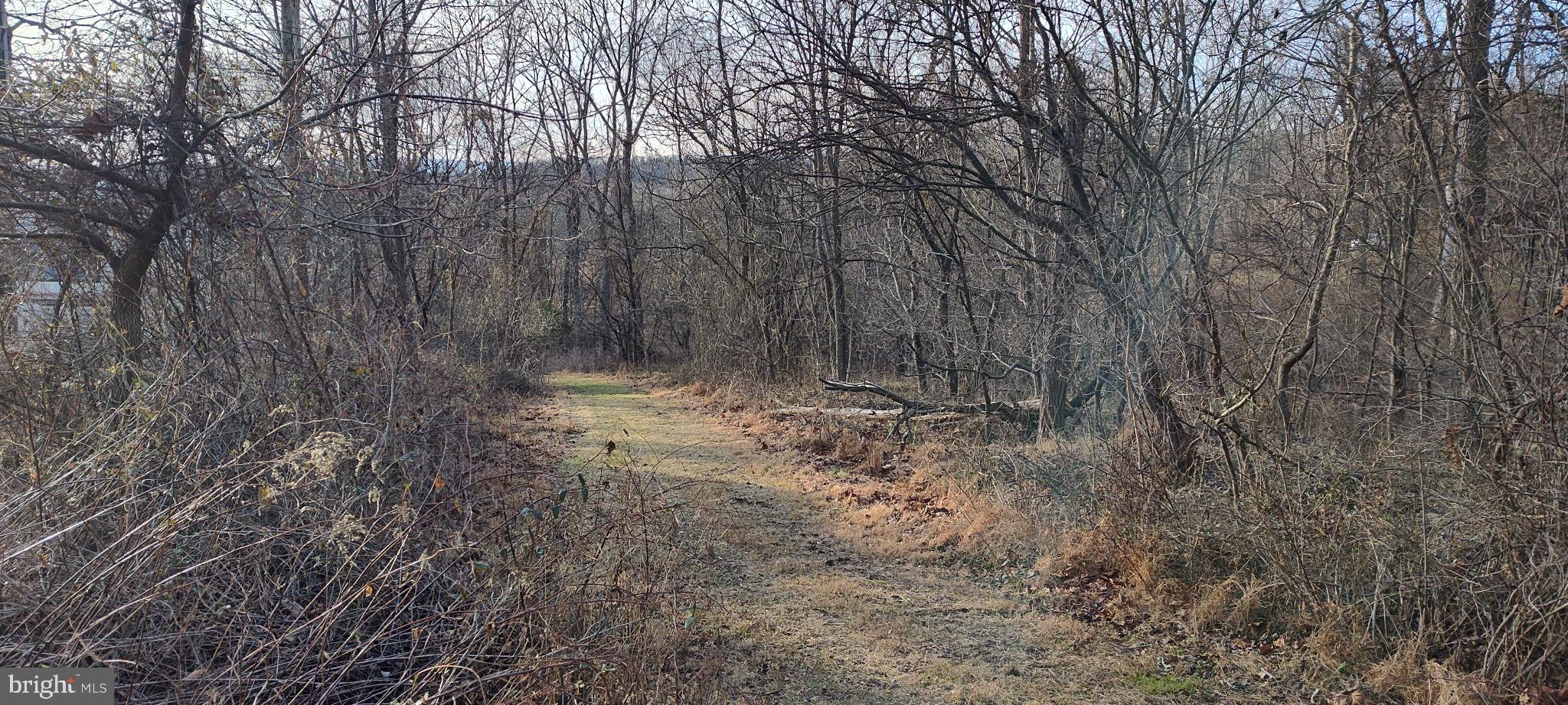 1339 Spruce Hill Road Port Royal, PA 17082 - Photo 110 of 126