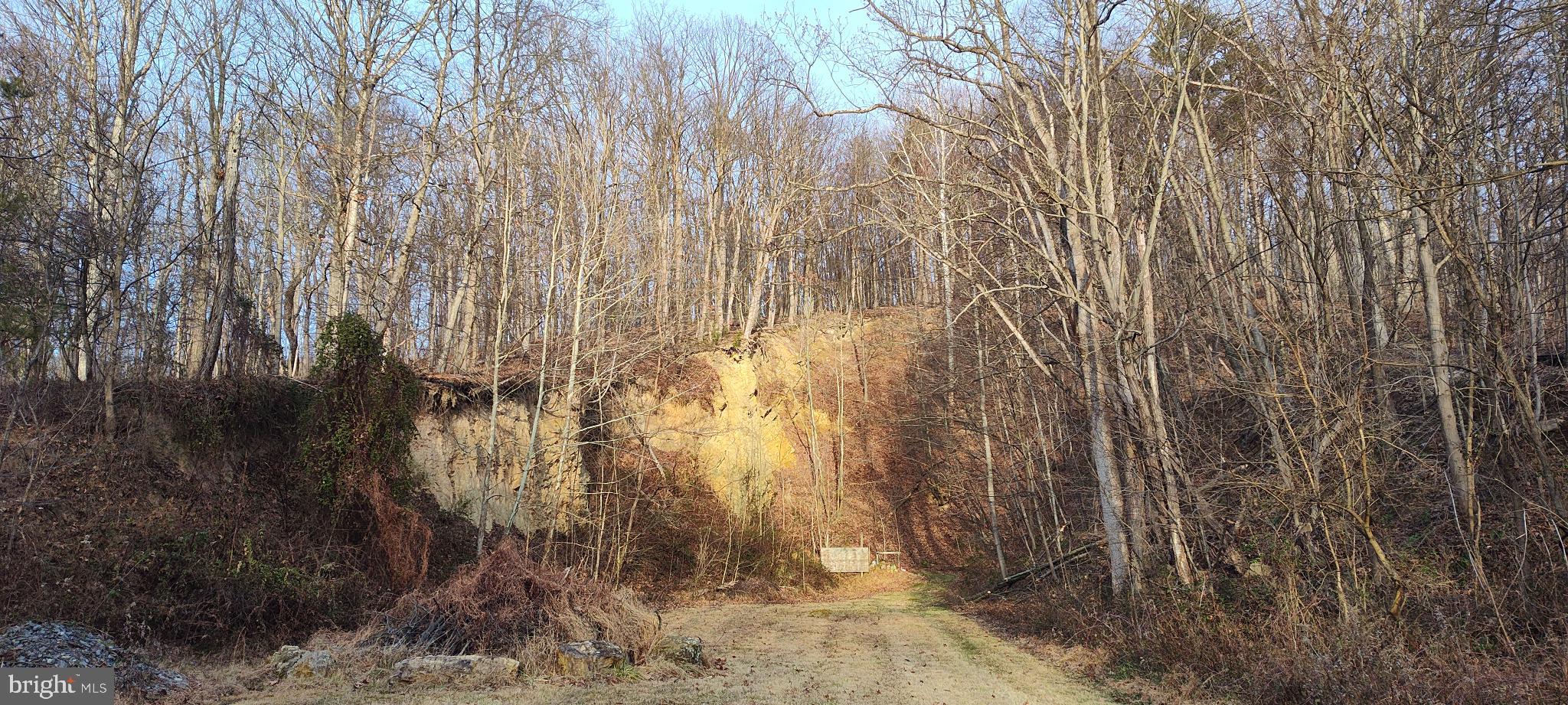 1339 Spruce Hill Road Port Royal, PA 17082 - Photo 111 of 114 Serene woodland path beckons exploration.