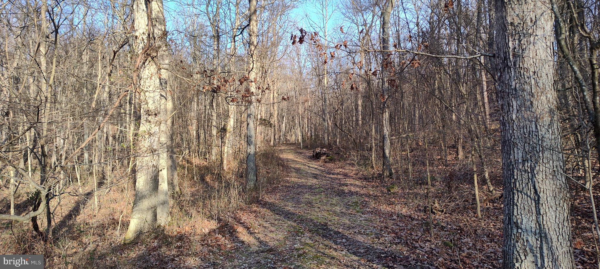 1339 Spruce Hill Road Port Royal, PA 17082 - Photo 18 of 126