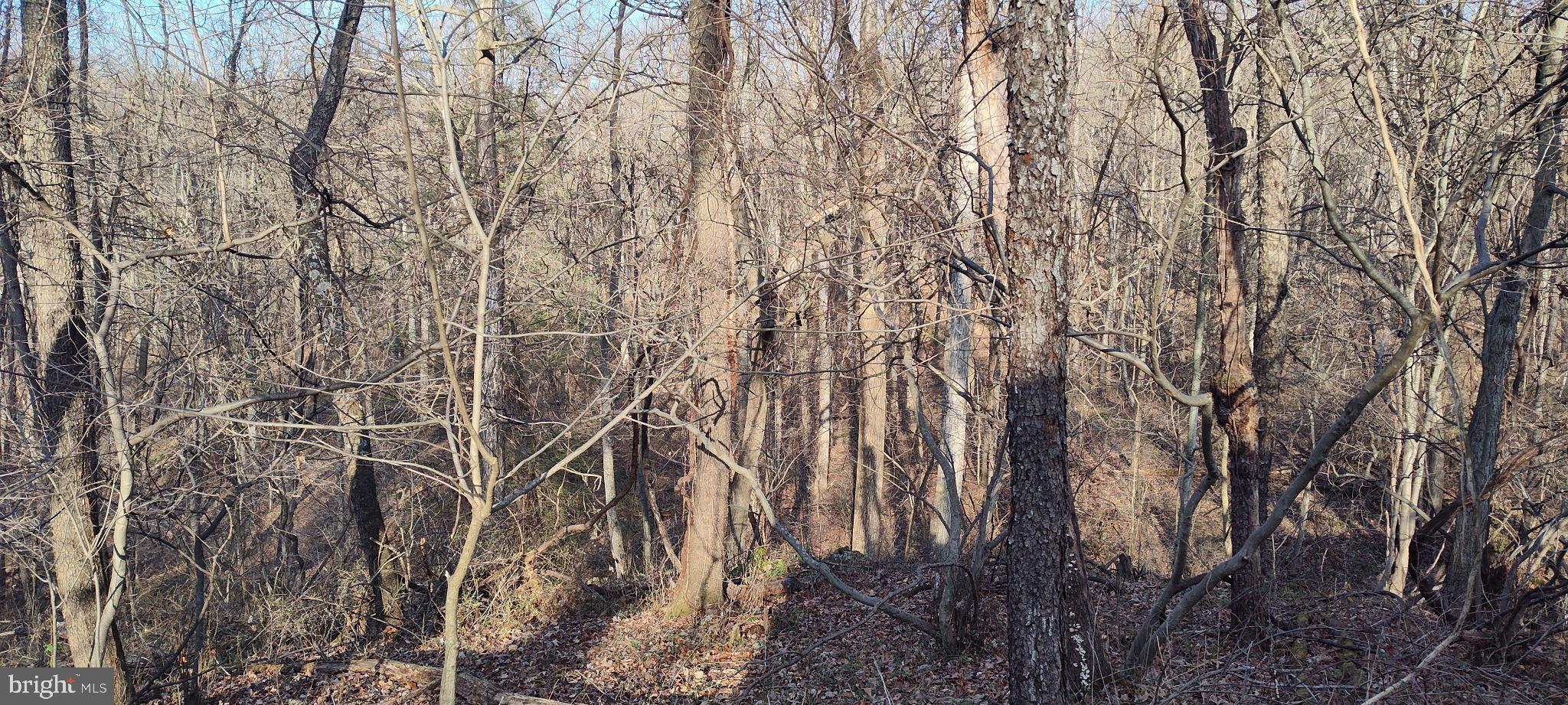 1339 Spruce Hill Road Port Royal, PA 17082 - Photo 23 of 126