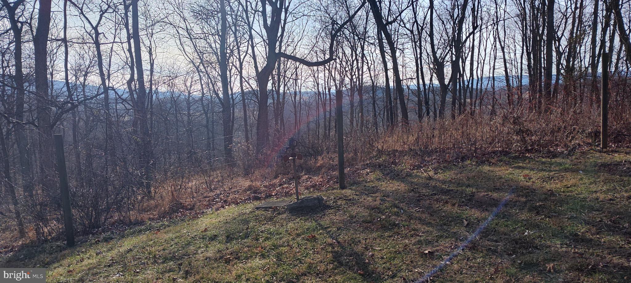 1339 Spruce Hill Road Port Royal, PA 17082 - Photo 24 of 126 a view of backyard with green space