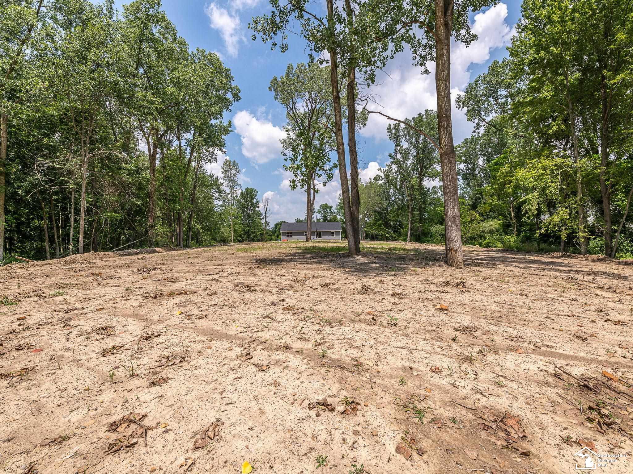 3901 Kane Road Carleton, MI 48117 - Photo 43 of 54