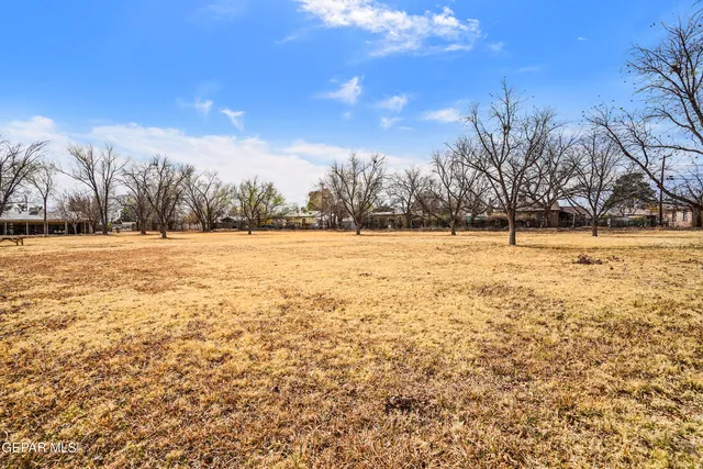 a view of yard with trees