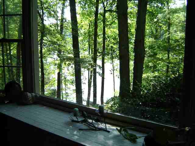 120 Elizabeth Road, Unit HARTWELL WATERFRONT IN CL Central, SC 29630 - Photo 17 of 21 Gallery Image 17