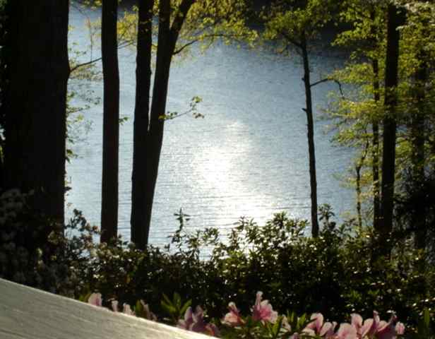 120 Elizabeth Road, Unit HARTWELL WATERFRONT IN CL Central, SC 29630 - Photo 20 of 21 Gallery Image 20