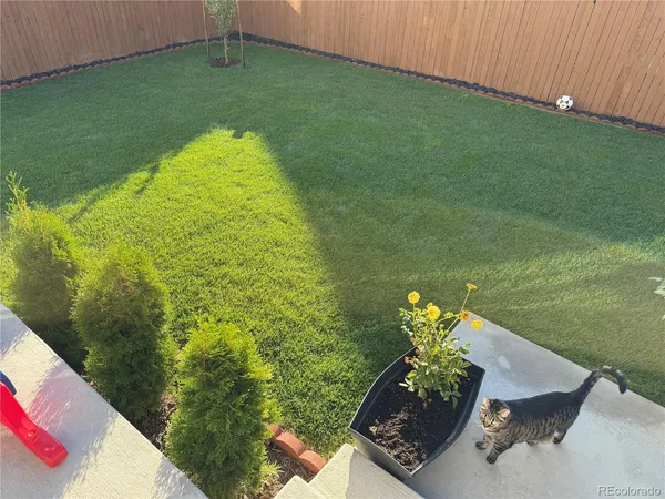 a swimming pool with some trees in the background