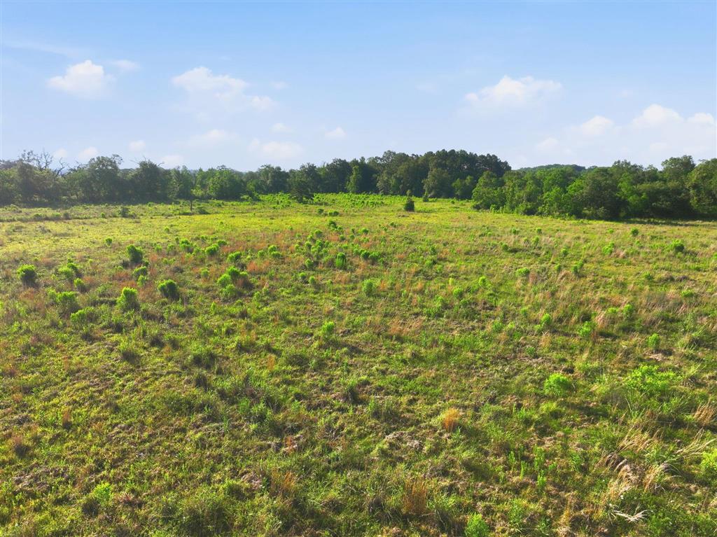 Tbd Tbd Sidney Derouen Road Iowa, LA 70647 - Photo 5 of 12
