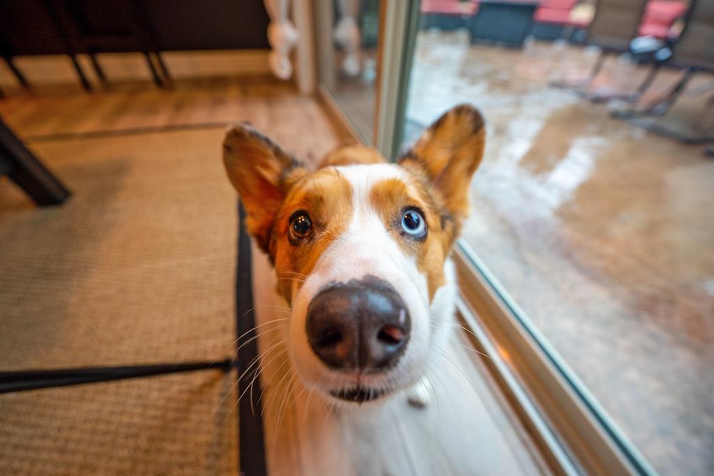 3960 Fort Jim Road Placerville, CA 95667 - Photo 51 of 86