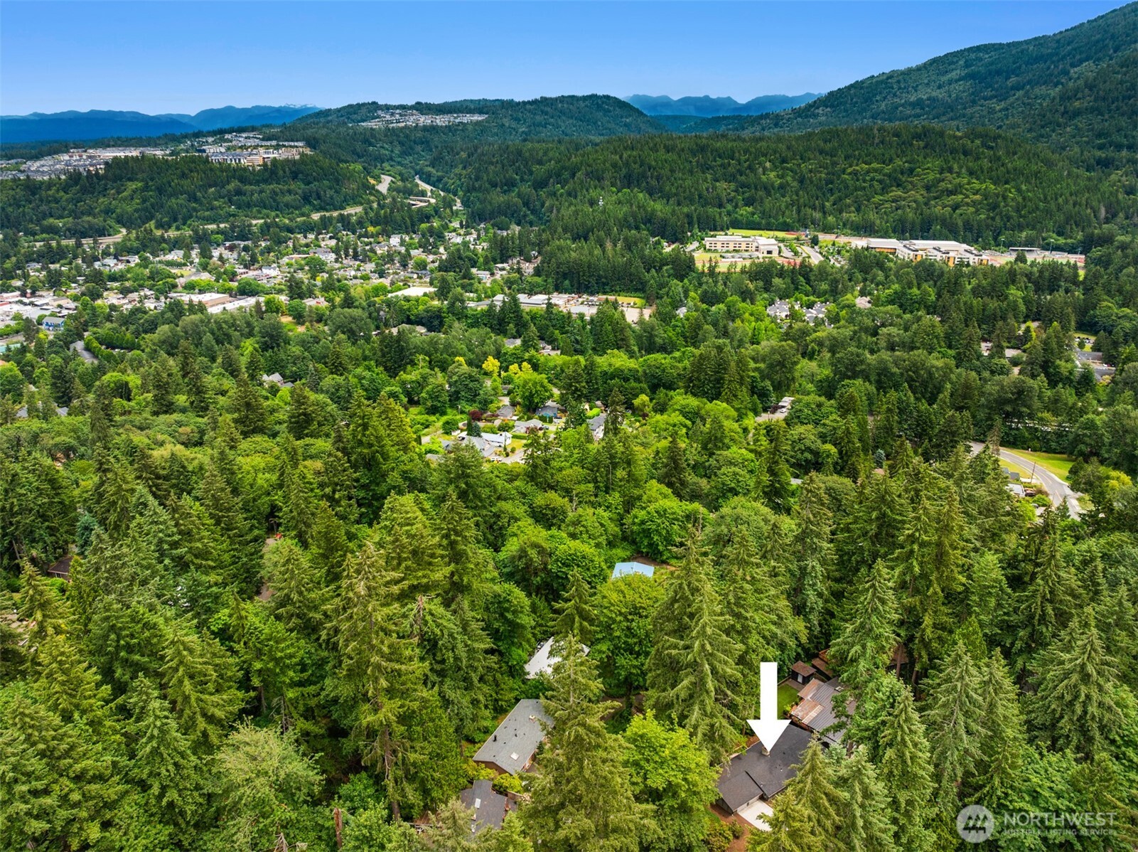400 Southwest Forest Place Issaquah, WA 98027 - Photo 22 of 24 a view of a lush green field with a mountain in the background