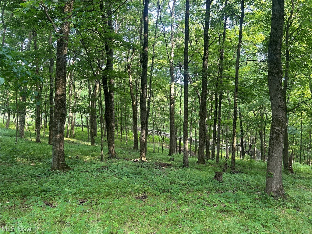 12929 Pleasant Valley Road Northeast Utica, OH 43080 - Photo 39 of 47