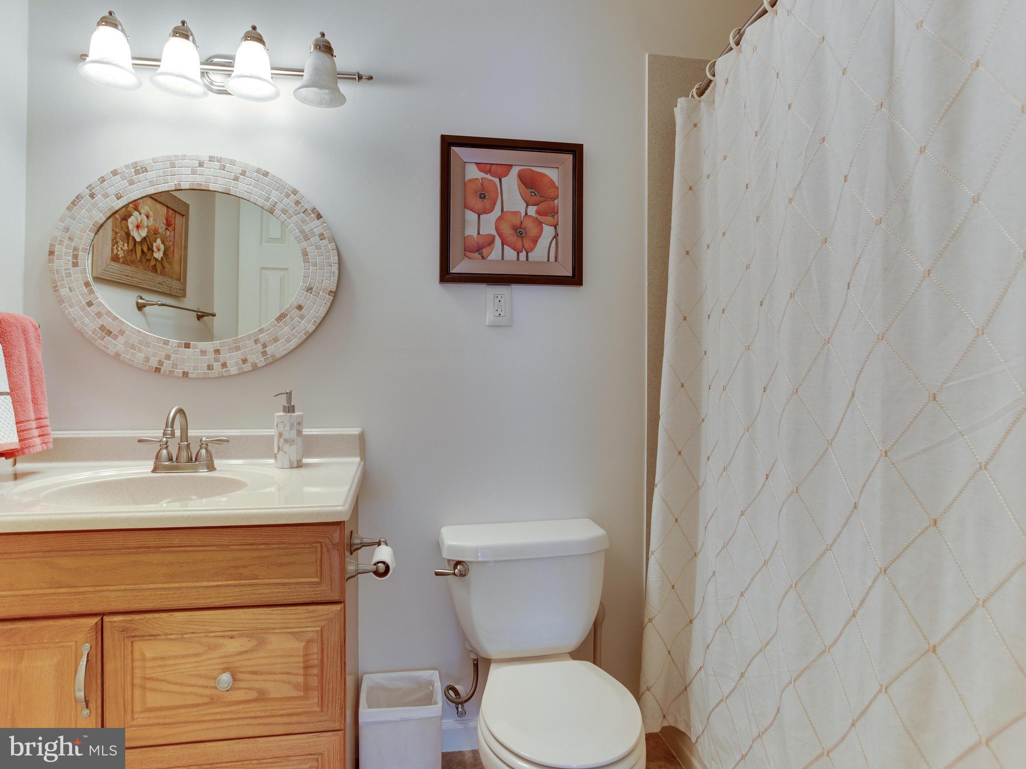 1011 Springhill Way Gambrills, MD 21054 - Photo 22 of 30 Upstairs Hallway Bath