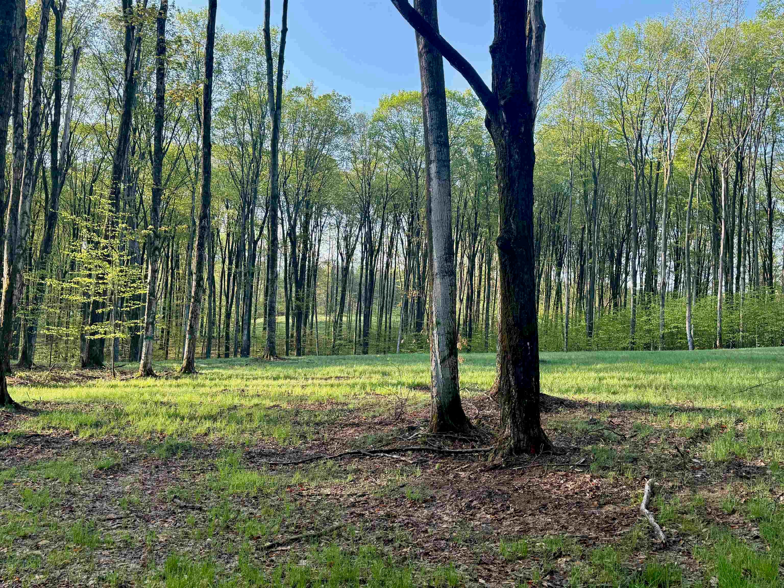 2 South Bright Road, Unit LOT: 2 Maple City, MI 49664 - Photo 10 of 18 Gallery Image 10