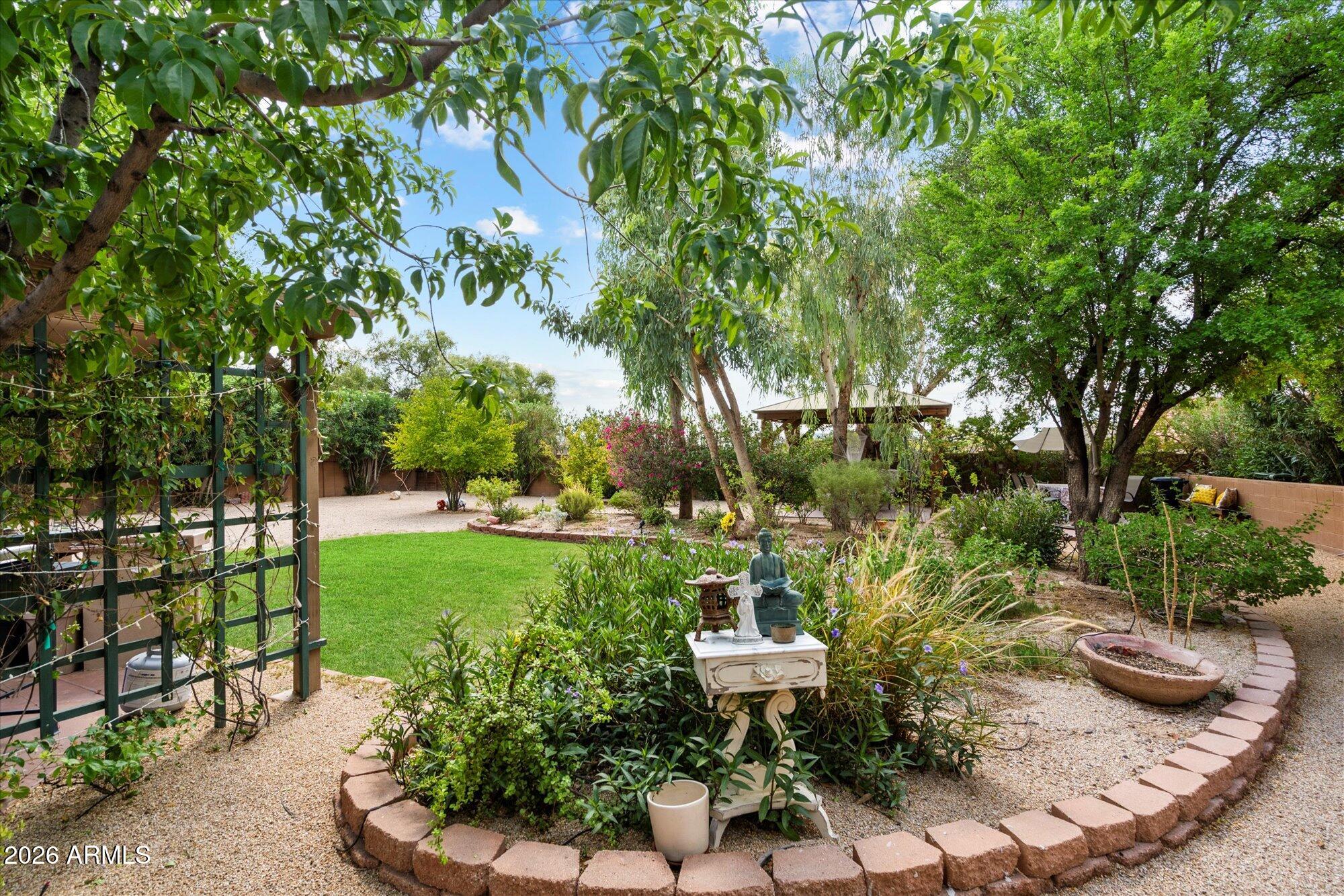 14242 North 9th Street Phoenix, AZ 85022 - Photo 21 of 26 a view of a backyard with chair and garden