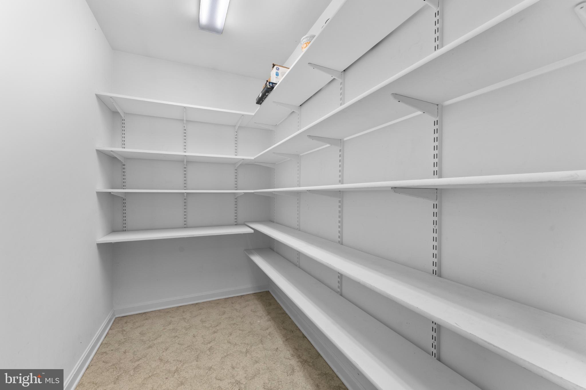 202 Monument Road Locust Grove, VA 22508 - Photo 14 of 43 a view of an empty walk in closet