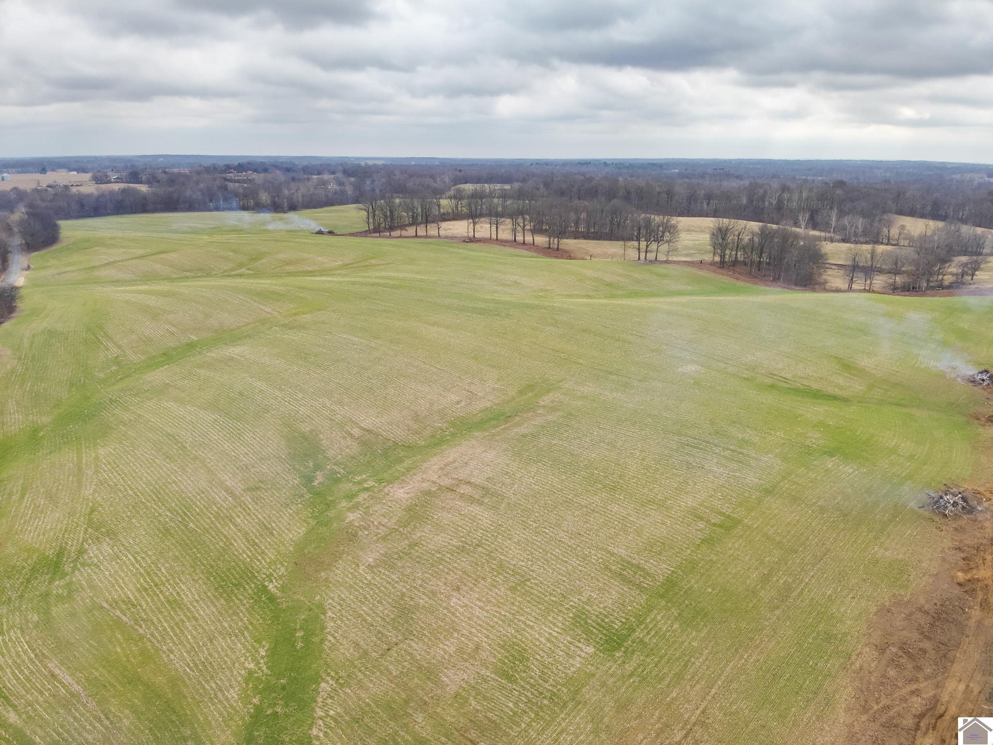 0 Ceredo Road Kevil, KY 42053 - Photo 7 of 10 Photo 7