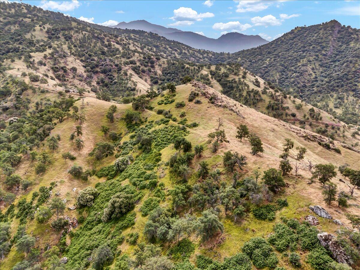 07-DJI_20250503102408_0031_D