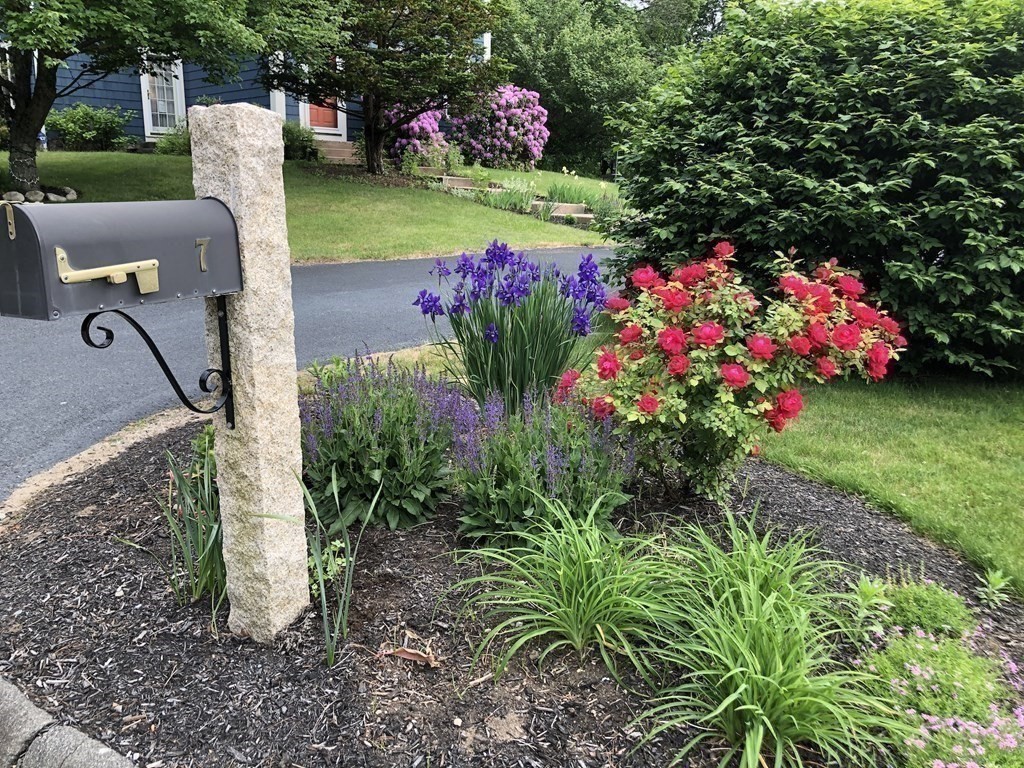 7 Grasshopper Lane Walpole, MA 02081 - Photo 3 of 42 a view of a garden with flowers and trees